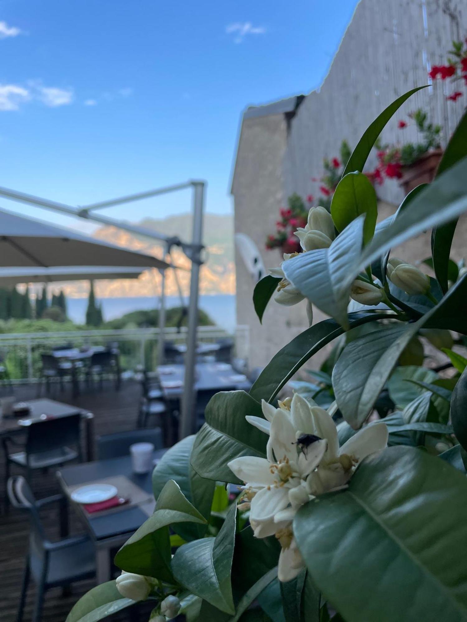 Hotel Roma Aparthotel Malcesine Exteriör bild